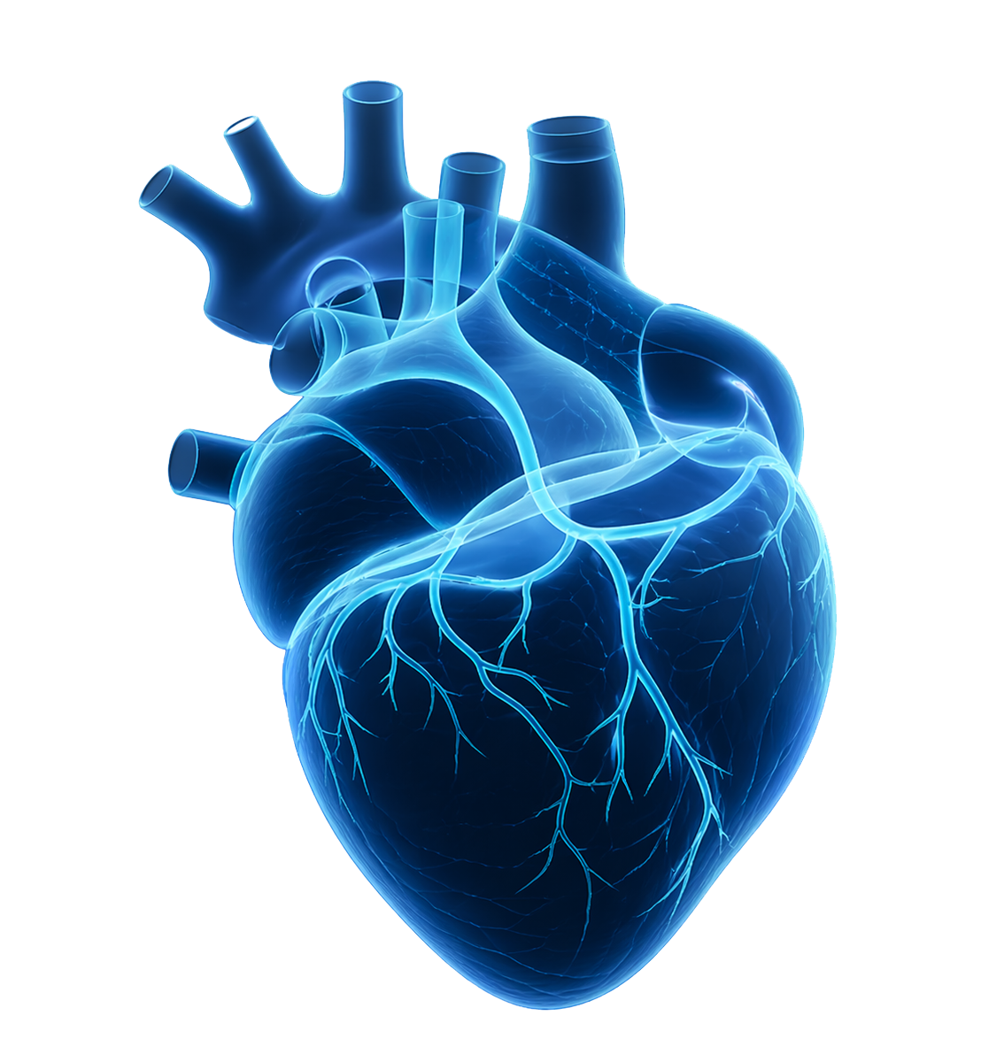 Coronary Portfolio