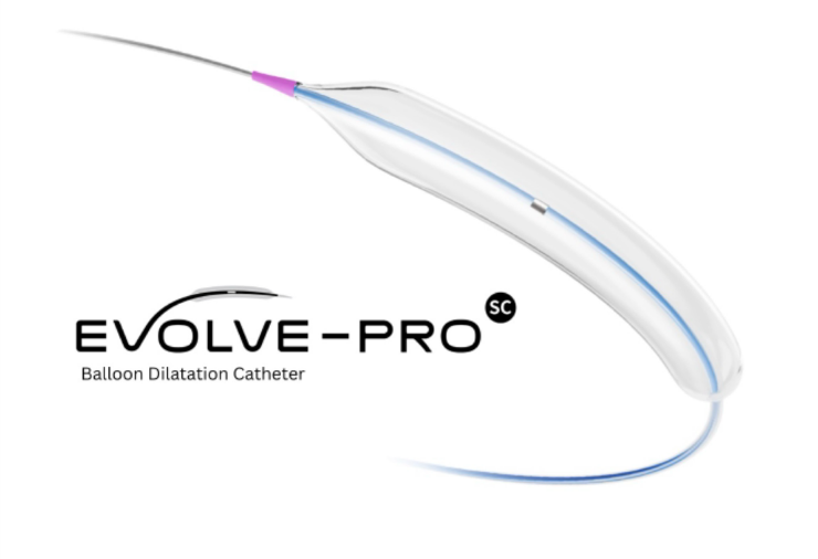 Evolve-Pro SC Balloon Dilatation Catheter